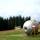 Zakopane - ZORBING